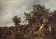 Jacob van Ruisdael Landscape with a cottage and trees oil painting
